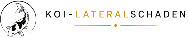 KOI-LATERALSCHADEN Logo